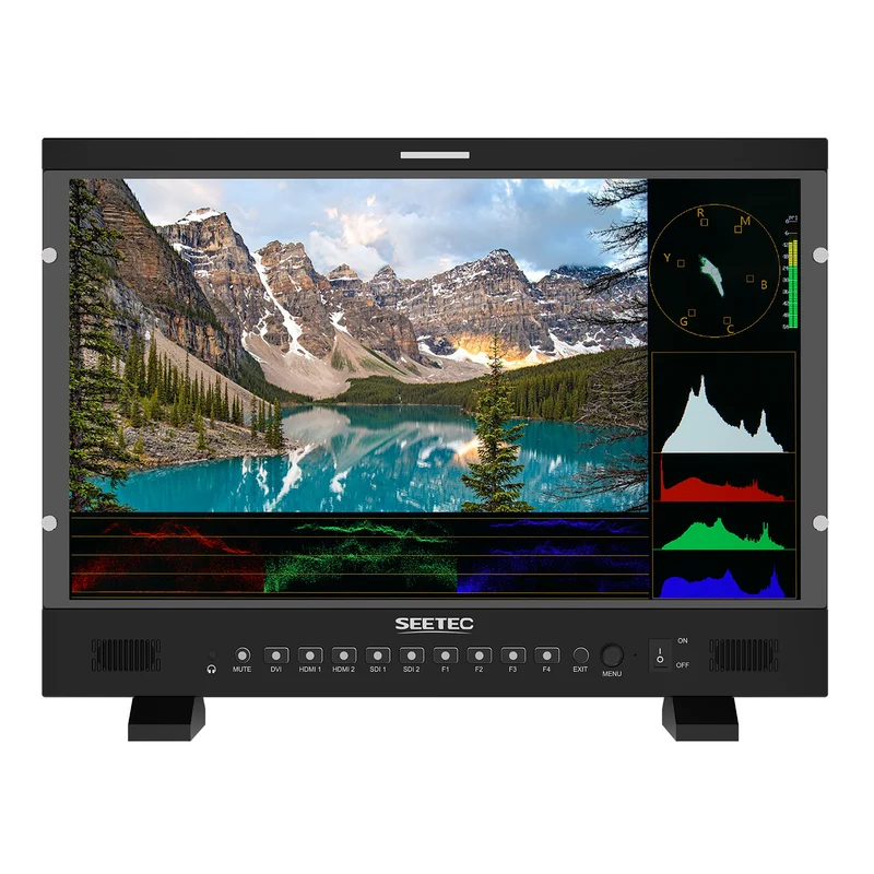 Moniteur de diffusion haute luminosité SEETEC P215 PRO 21.5 pouces 1000 nit avec LUT de forme d'onde HDMI SDI