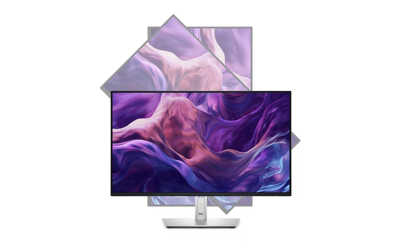MONITOR Dell P2425H