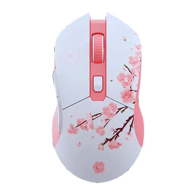 Dareu EM901X Souris Gamer Sans-fil - Précision et Ergonomie