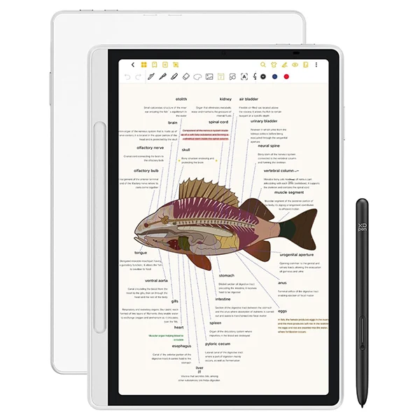 XP-PEN MAGIC NOTE PAD