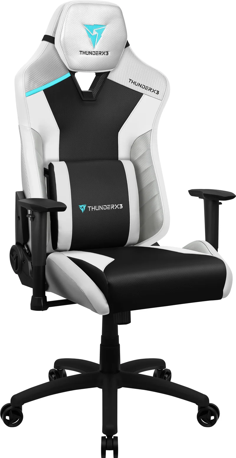 Fauteuil gaming ThunderX3 TC3 MAX - similicuir texture carbone, accoudoirs 2D, inclinable (Noir/Blanc/Gris/Bleu)
