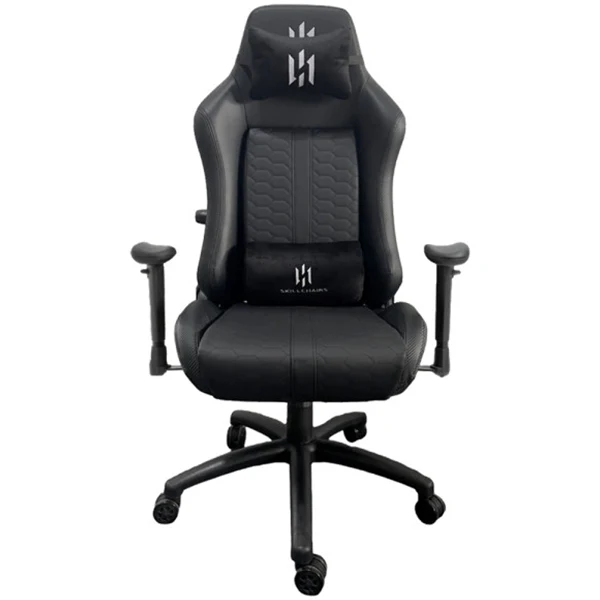 SKILLCHAIRS Raider