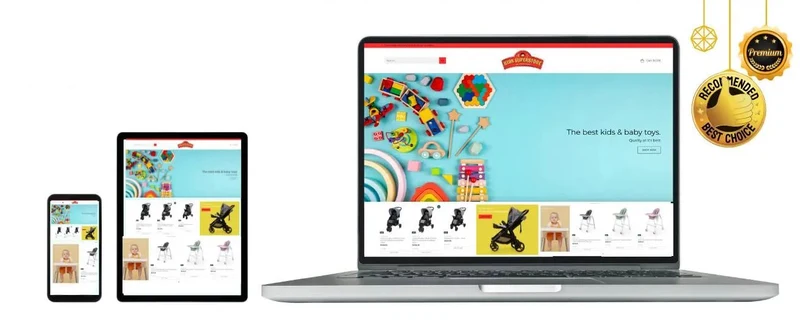 Buy A Kids Product Shopify Dropship Store | Built From Scratch