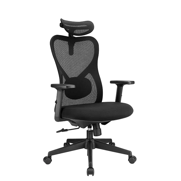 SKILLCHAIRS Ergo Alaska