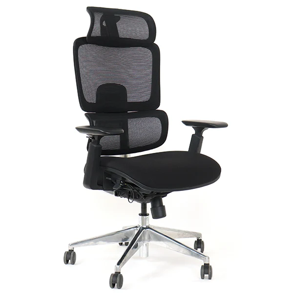 SKILLCHAIRS Ergo Perla