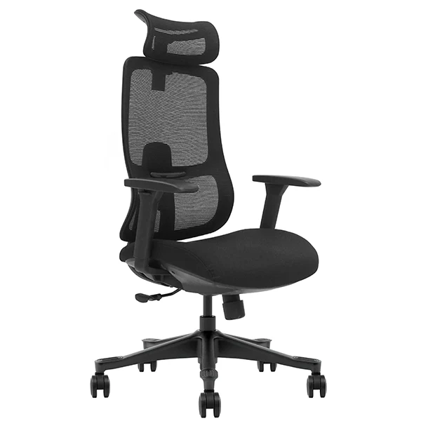 SKILLCHAIRS Ergo Argyros