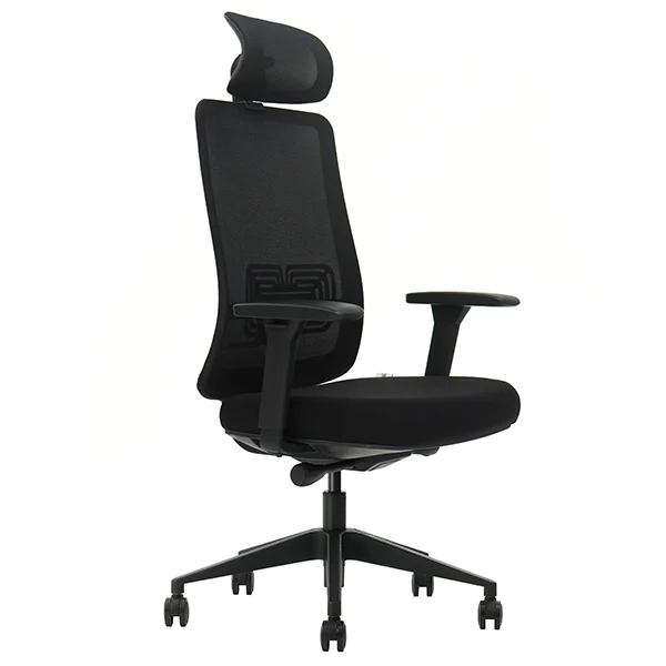SKILLCHAIRS Ergo Gusto