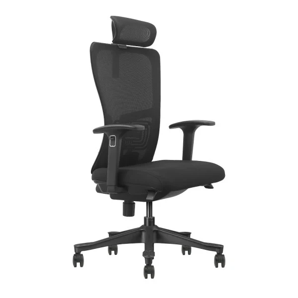 SKILLCHAIRS Ergo Apricity