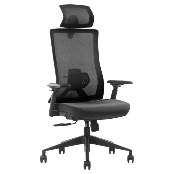 SKILLCHAIRS Ergo Stella