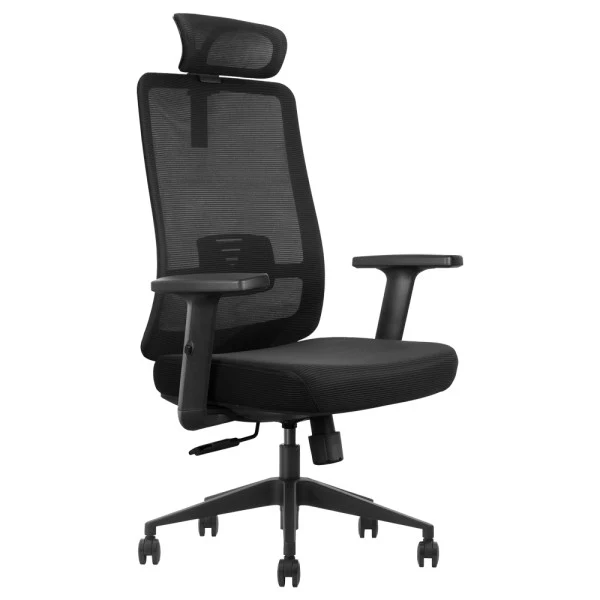 SKILLCHAIRS Ergo Luna