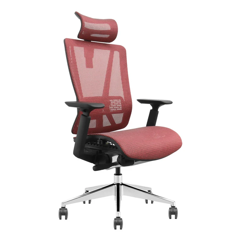 SKILLCHAIRS T1-BH-01